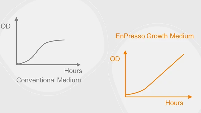 Growth comparison